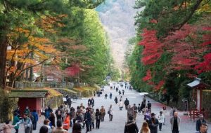 ژاپن گردشگری آزمایشی را آغاز می‌کند
