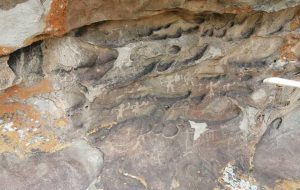 کشف سنگ‌نگاره‌های باستانی در ورزقان