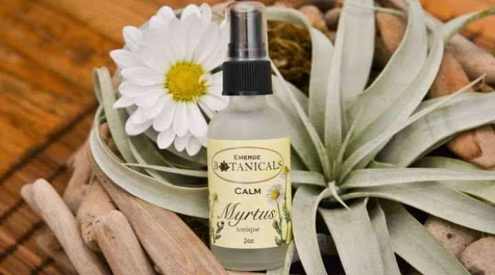 فواید گیاه مورد برای پوست