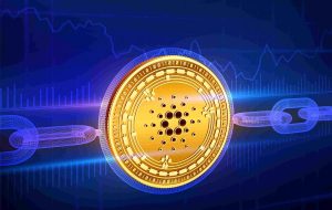 بروز رسانی کاردانو چه زمانی آغاز می شود؟