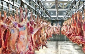 قیمت گوشت قرمز گوسفندی امروز ۲ مرداد/مغز راسته گوسفندی درصدر جدول قیمت