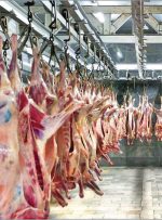 صفحهٔ درخواستی شما یافت نشد.