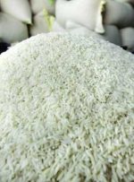 واردات یک میلیون و ۳۰۰ هزار تن برنج تا پایان سال