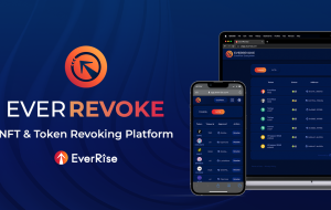 EverRise EverRevoke را منتشر می کند، پلتفرمی برای لغو تاییدیه های توکن و NFT – بیانیه مطبوعاتی Bitcoin News