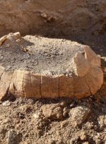 باستان‌شناسان در «پمپئی» لاک‌پشت کشف کردند
