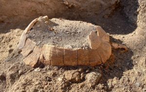 باستان‌شناسان در «پمپئی» لاک‌پشت کشف کردند