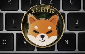 بتای عمومی Shibarium SHIB برای استقرار در سه ماهه سوم برنامه ریزی شده است – Bitcoin News
