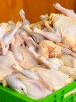 فروش مرغ کاهش یافت – هوشمند نیوز
