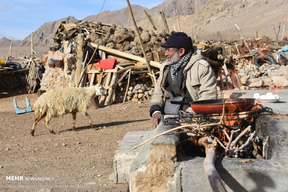 نشان درجه یک هنری برای پدر شهیدی که از شجریان، آواز خواندن را آموخت/ عکس  