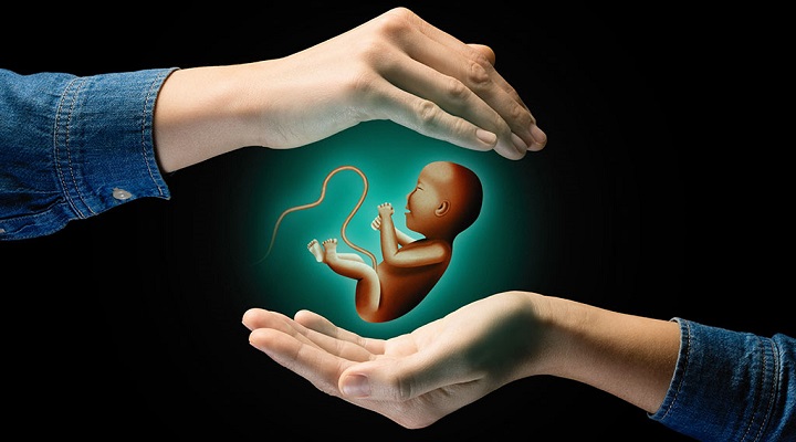 منظور از شناسه در نظریه شخصیت فروید