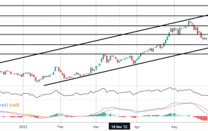 چرا انتظارات معامله گران از FOMC به شدت تهاجمی شده است؟  |  آسیاب کنه