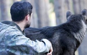 واکنش چند گرگ به دیدن مردی که به آنها کمک کرد + فیلم