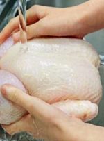 آیا شستن مرغ بیماری زاست؟