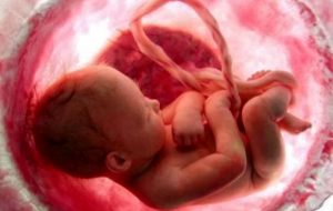 مادرانی که جنین باهوش می خوان بخونن