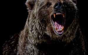 بیت کوین به زیر 21 هزار دلار سقوط کرد.  چرا بازار خرس فعلی با سال 2018 متفاوت است؟