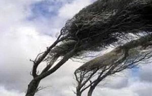 وزش باد در جنوب استان تهران