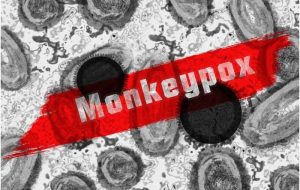 “آبله میمونی” وضعیت اضطراری بهداشت جهانی اعلام شد
