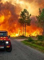 آتش‌سوزی‌های جنگلی در فرانسه و اسپانیا با موج گرما در اروپا موج می‌زند