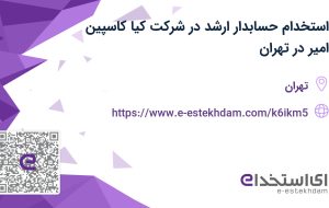 استخدام حسابدار ارشد در شرکت کیا کاسپین امیر در تهران