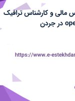 استخدام کارشناس مالی و کارشناس ترافیک (عملیات/ operation) در جردن