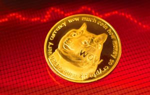 اکثریت مشاهده می کنند که Dogecoin تمام ارزش خود را از دست می دهد – “زمان خروج از DOGE” – Altcoins Bitcoin News