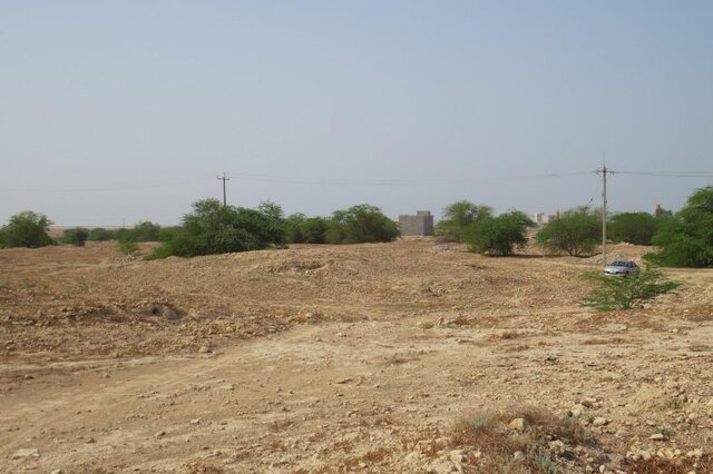 «بردو» تعیین عرصه می‌شود