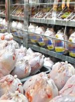 جدیدترین قیمت مرغ تازه و منجمد در بازار / مرغ گران‌تر می شود؟ + جدول قیمت