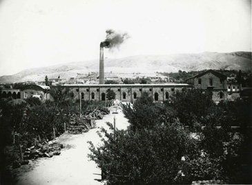 کارخانه کبریت سازی ممتاز