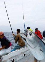 ماهی‌های چرب «کاتسوو» ممکن است پیش‌بینی تغییرات آب و هوایی، تهدیدی برای سوشی ژاپن باشد