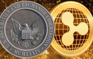 مدیر عامل Ripple در مورد نتایج بالقوه شکایت SEC در مورد XRP بحث می کند – مقررات بیت کوین نیوز