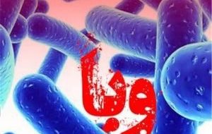 هشدار جدی وبا در لرستان/رعایت نکات بهداشتی توسط زائرین حیاتی است