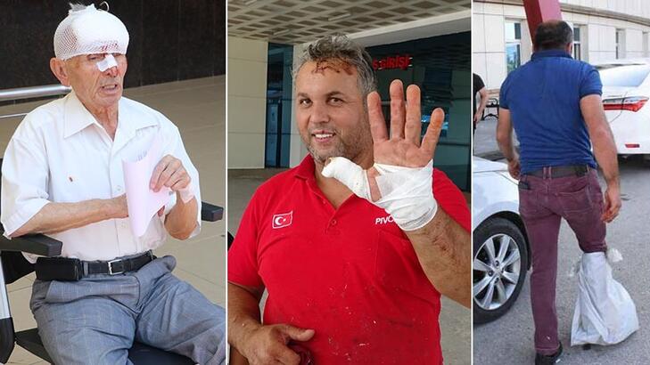 عید قربان ترکیه1