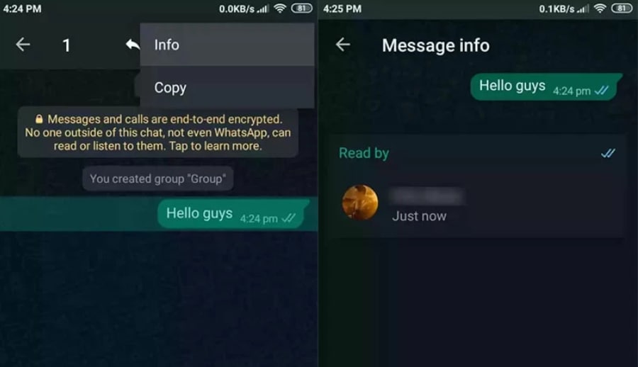 ترفندهای واتس اپ؛ در WhatsApp حرفه ای شوید!