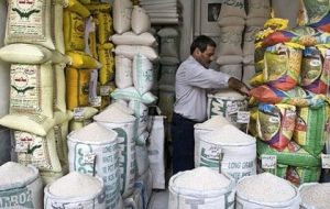 حباب برنج ایرانی ترکید/ کاهش ۱۵ تا ۲۵ هزار تومانی قیمت برنج