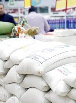 کاهش قیمت برنج ایرانی در مازندران/ برنج طارم ۸۰ هزار تومان شد