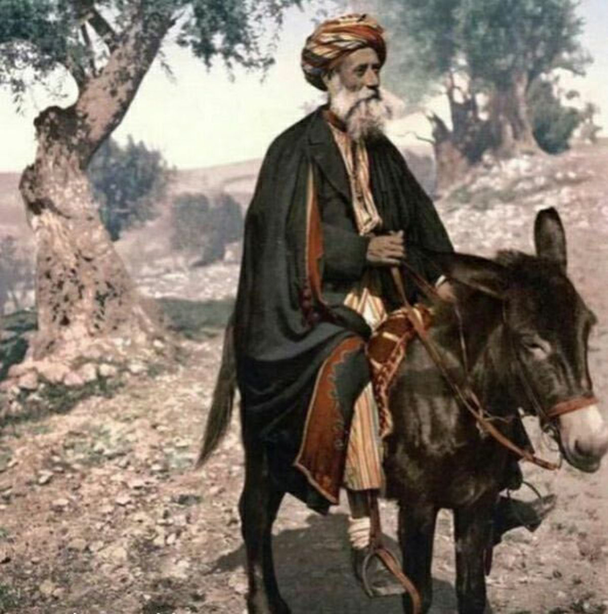 ملا نصرالدین