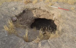 کشف آثاری از دوران مس و سنگ در غرب ایران کشف آثاری از دوران مس و سنگ در غرب ایران