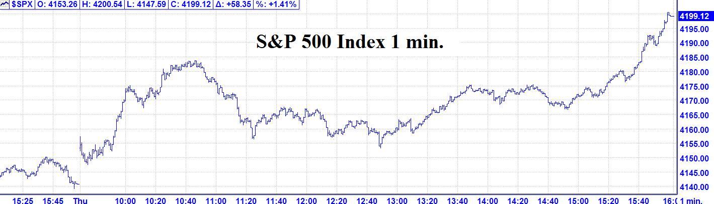 چارت سازمانی