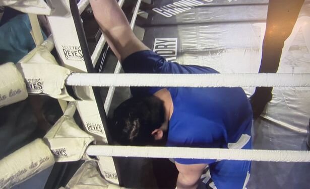 آبروریزی دوباره هالک ایرانی روی رینگ/عکس