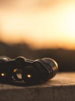 آتی زعفران با ارزش ۷۲۰ میلیارد تومان، در صدر معاملات مرداد