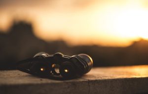 آتی زعفران با ارزش ۷۲۰ میلیارد تومان، در صدر معاملات مرداد