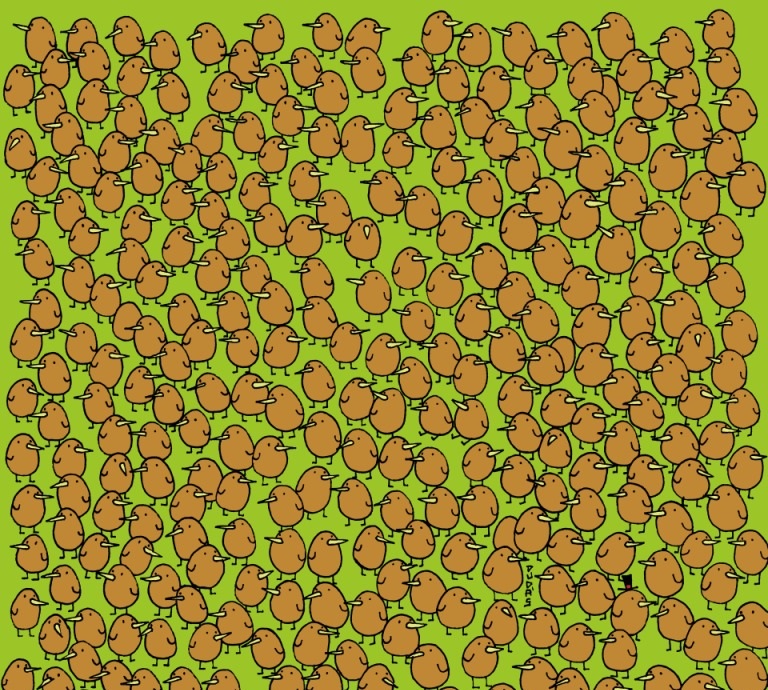 تست بینایی کیوی