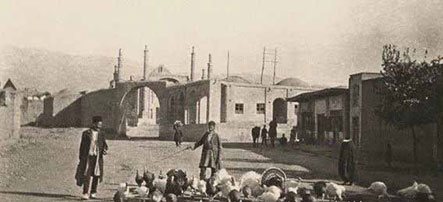 بوقلمون‌چرانی در پایتخت | ماجرای ورود اولین بوقلمون‌ به ایران 