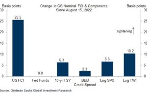 دو شاخص اختصاصی گلدمن ساکس، تحلیلگران را در مورد سهام محتاط کرده است