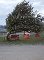 صدور هشدار سطح نارنجی برای تشدید بارش‌ها و وزش باد