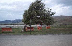 صدور هشدار سطح نارنجی برای تشدید بارش‌ها و وزش باد