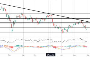 فایل های IndeX 30-08-2022