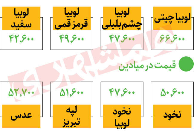 قیمت جدید حبوبات در میادین میوه و تره‌بار / لوبیا چیتی رکورد دار گرانی