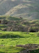 منظر تاریخی «سیمره» در مسیر ثبت در فهرست جهانی یونسکو قرار گرفت