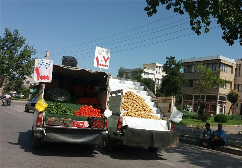 طرح برخورد با وانت بارهای میوه فروش درحاشیه خیابان های ایلام اجرا می‌شود-  اخبار استانها تسنیم | Tasnim